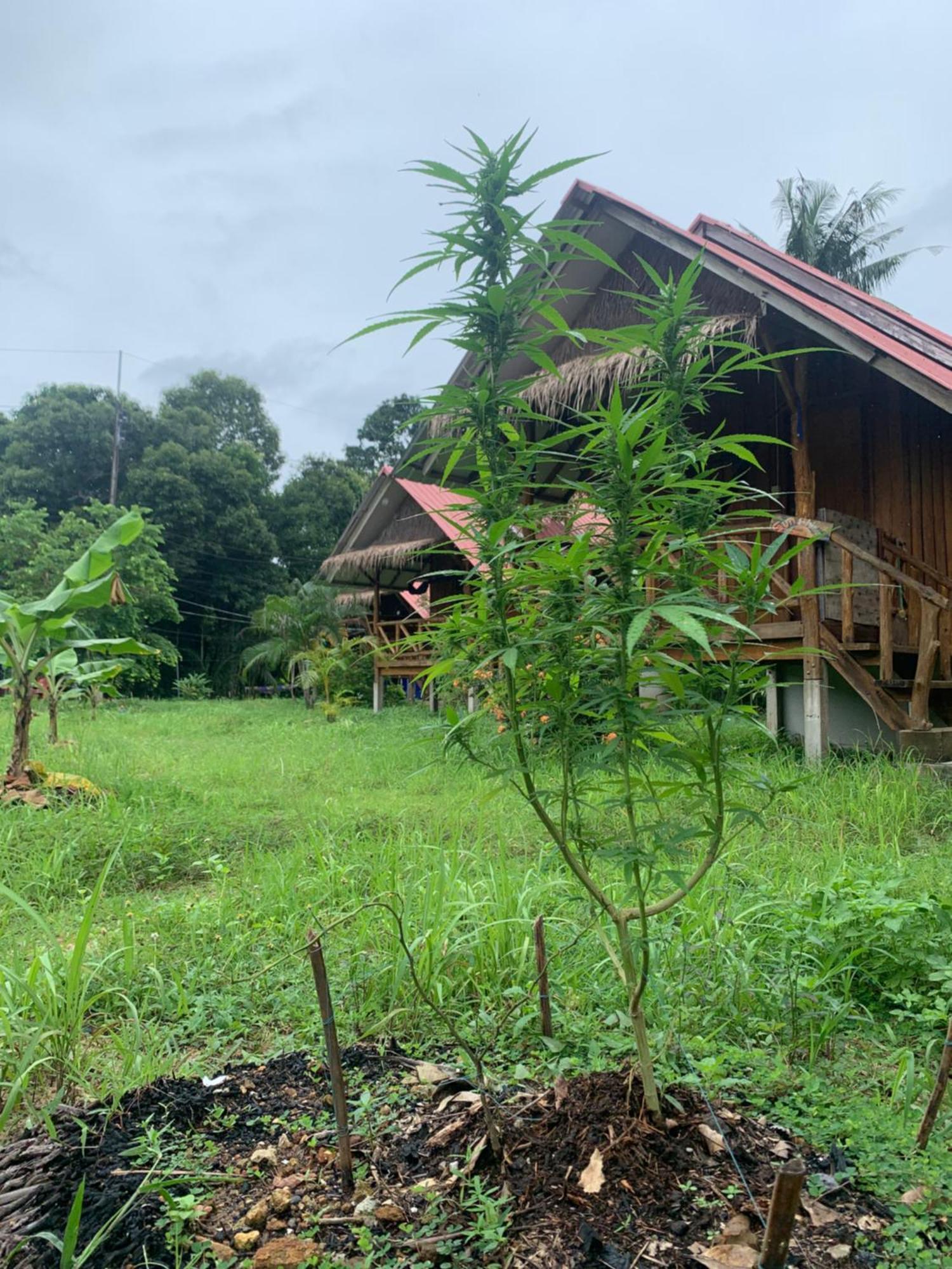 Seree Bungalows Koh Chang Exterior foto